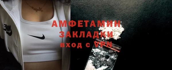 стафф Алзамай