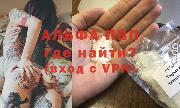 стафф Алзамай