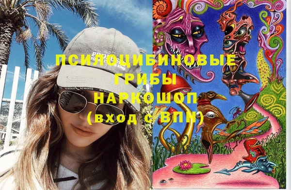 стафф Алзамай